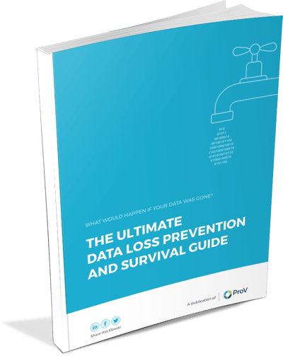 The Ultimate Data Loss Prevention and Survival Guide